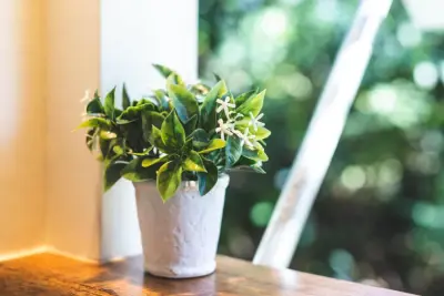 Paradise Tiny Homes LLC - Carpentry & Woodworking in Keaau, HI