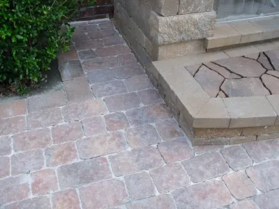 Landscape-Fusion - Garden Remodeling in Tampa, FL