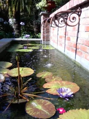 Landscape Images Ltd - Landscape Maintenance in Jefferson, GA