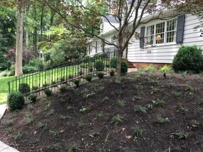 Landscape Perceptions - Outdoor Lighting Installation in Liberty, SC