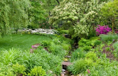 Landscape Projects, Inc. - Landscape Maintenance in Bethesda, MD