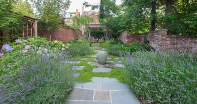 Landscape Projects, Inc. - Landscape Maintenance in Bethesda, MD