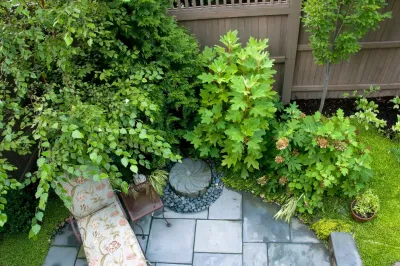 Landscape Projects, Inc. - Landscape Maintenance in Bethesda, MD