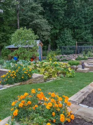 Landscape Projects, Inc. - Landscape Maintenance in Bethesda, MD