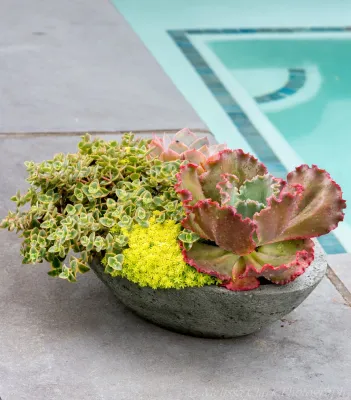 Landscape Projects, Inc. - Landscape Maintenance in Bethesda, MD