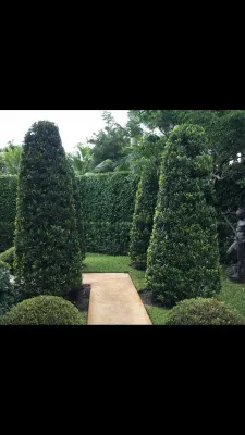 Landscape Solutions LLC - Garden Remodeling in Jupiter, FL