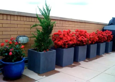 Harlem, NYC Rooftop Garden Design: Roof Deck, Terrace, Outdoor Seating — Landscape Design project by Amber Freda Garden Design in New York