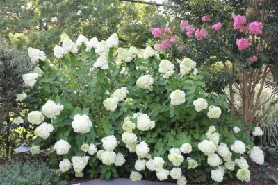 Landscape Techniques Inc. - Landscape Construction in Nutley, NJ