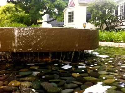 Transitional Garden — Landscape Design project by Landscape Workshop in Lexington