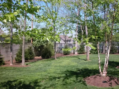 Shade Garden in Town — Landscape Design project by Landscape Workshop in Louisville