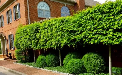 Landscape Workshop - Fence Installation in Lexington, KY