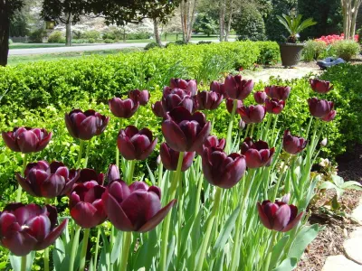 Landscapes by Peel - Garden Remodeling in Vienna, VA