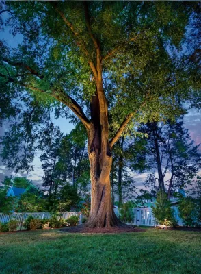 Landscapes by Peel - Garden Remodeling in Vienna, VA