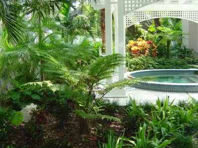 Landscapes by Randy Lee - Garden Remodeling in Saint Petersburg, FL