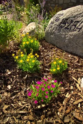 Style with Flowers — Landscape Design project by American Design & Landscape