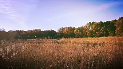 The Art of Nature — Landscape Design project by LandServe, LLC..."Landscapes For Life