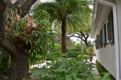 LandStudio - Garden Remodeling in Coral Gables, FL