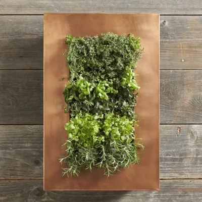 Landstylist: landscape design ideas, curated. - Garden Remodeling in Brooklyn, NY