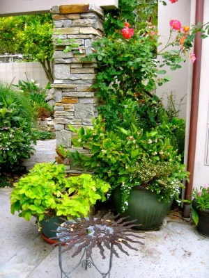Landsystems & Associates - Drought-Resistant Lawn Installation in San Luis Obispo, CA