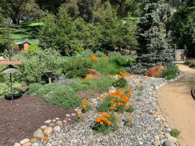 Landsystems & Associates - Drought-Resistant Lawn Installation in San Luis Obispo, CA