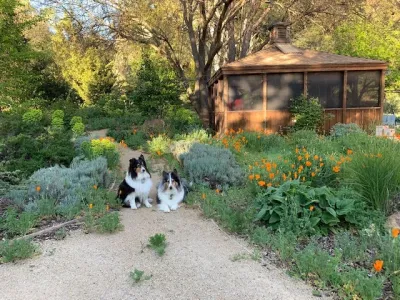 Backyard Sanctuary — Landscape Design project by Landsystems & Associates in San Luis Obispo