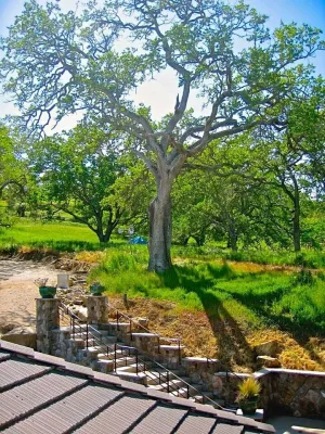 Landsystems & Associates - Drought-Resistant Lawn Installation in San Luis Obispo, CA
