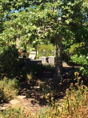 Landsystems & Associates - Drought-Resistant Lawn Installation in San Luis Obispo, CA