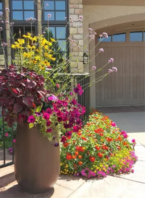 Lane Gardens - Garden Remodeling in Denver, CO