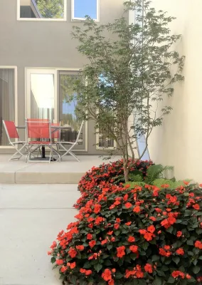 Lane Gardens - Garden Remodeling in Denver, CO