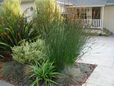 Seaside Mesa Garden — Landscape Design project by Lane Goodkind Landscape Architect in Santa Barbara