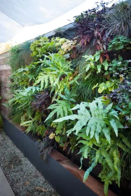 Greenwall — Landscape Design project by Lane Goodkind Landscape Architect