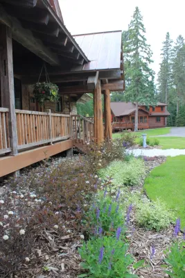 Larch Design - Drought-Resistant Lawn Installation in Brainerd, MN