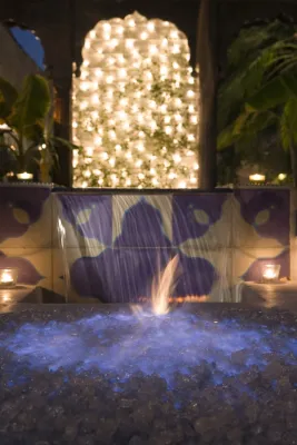 Laura Morton Design - Landscape Design in West Hollywood, CA