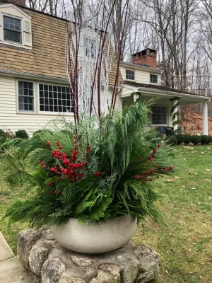 LaurelRock - Tree & Shrub Care in Wilton, CT