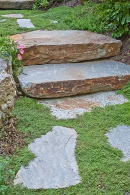 LaurelRock - Tree & Shrub Care in Wilton, CT