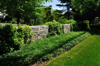 LaurelRock - Tree & Shrub Care in Wilton, CT