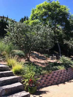 Lauri Burrier Garden Design Inc. - Garden Remodeling in Los Angeles, CA