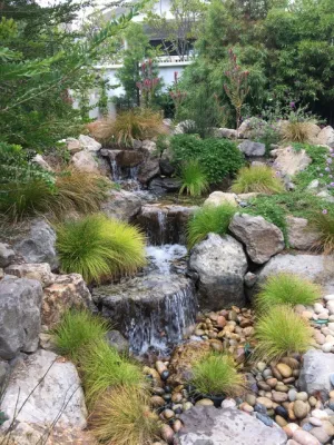 20th Street Santa Monica — Landscape Design project by Lauri Burrier Garden Design Inc. in Santa Monica