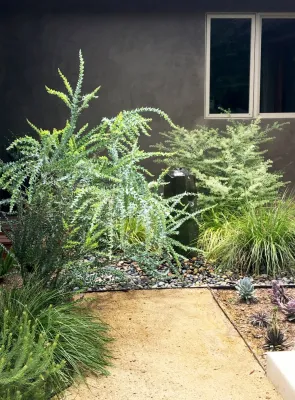 Mar Vista — Landscape Design project by Lauri Burrier Garden Design Inc. in Los Angeles