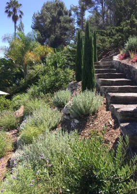 Montemalaga Drive in Rancho Palos Verdes — Landscape Design project by Lauri Burrier Garden Design Inc.