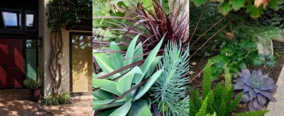 Culver City Shady Garden — Landscape Design project by Lauri Burrier Garden Design Inc. in Culver City