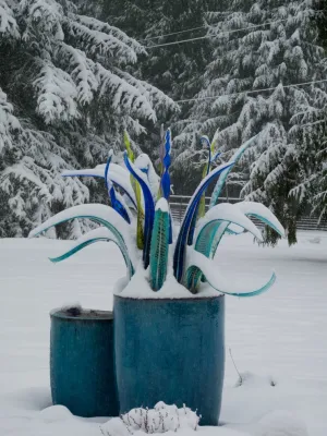 December checklist — Landscape Design project by Le Jardinet