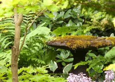 Le jardinet - Garden Remodeling in Duvall, WA