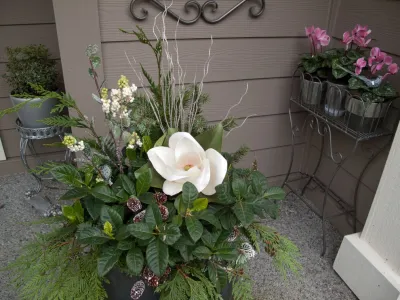 Holiday Container Gardens by Le Jardinet