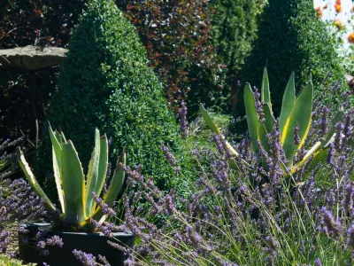 Mediterranean style — Landscape Design project by Le Jardinet