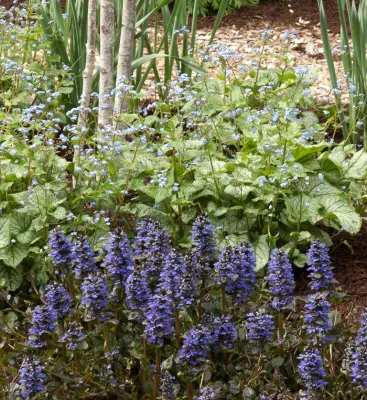Le jardinet - Garden Remodeling in Duvall, WA