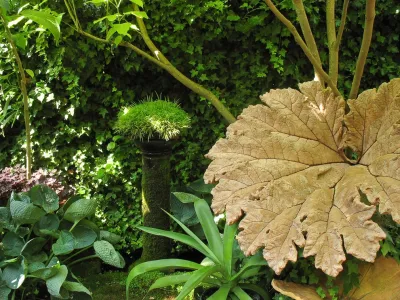Moss elements in the garden by Le Jardinet