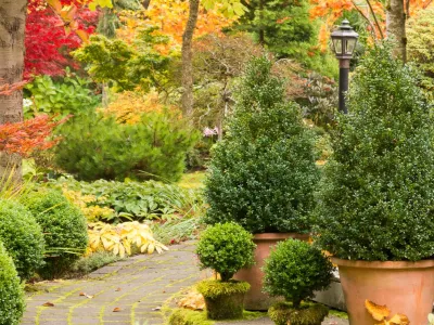 Le jardinet - Garden Remodeling in Duvall, WA