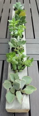 LeBrun Designs - Reclaimed Cypress Succulent Planters and Candle Holders — Landscape Design project by LeBrun Designs, Inc. in Anderson