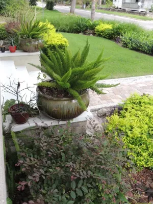 LeBrun Designs, Inc. - Garden Remodeling in Anderson, SC